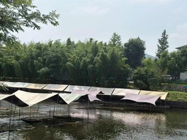 律师回应河边露营村民私自收费 私人无权收费
