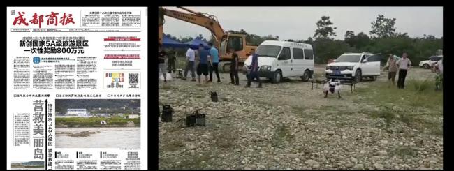 暴雨后蚂蚁用身躯搭桥过河 团结力量大