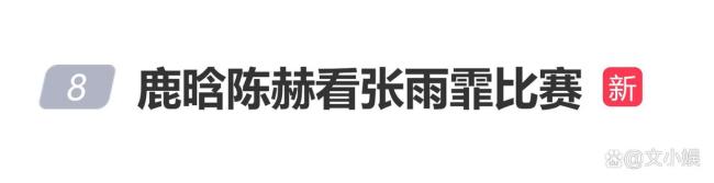 鹿晗陈赫现身赛场看张雨霏比赛