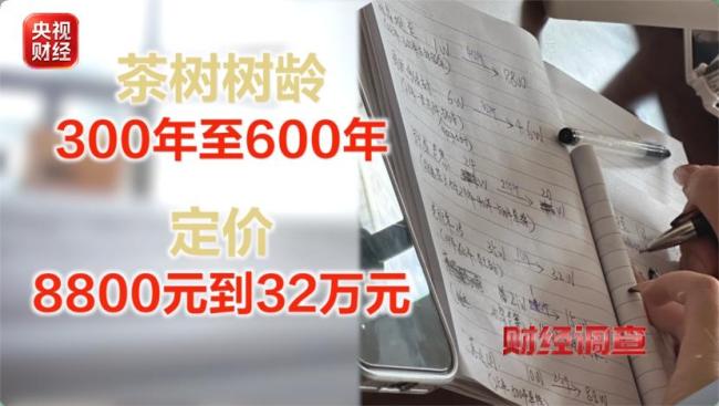 卖茶直播间27位茶农20个是演员 古树茶骗局再曝光
