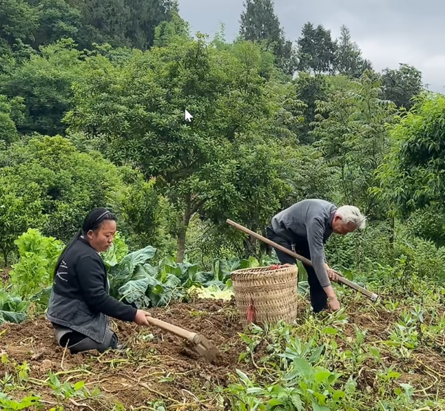 带俩娃“无腿妈妈”走出最硬人生路 用双手撑起希望