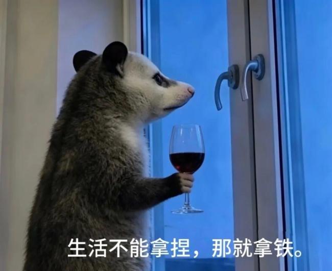 爆火的负鼠为啥能成年轻人“嘴替” 幽默化解压力