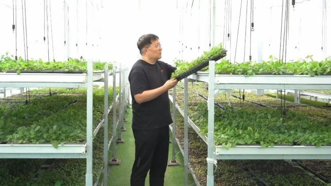 产业扎根大地 科技赋能民生 多点发力补短板
