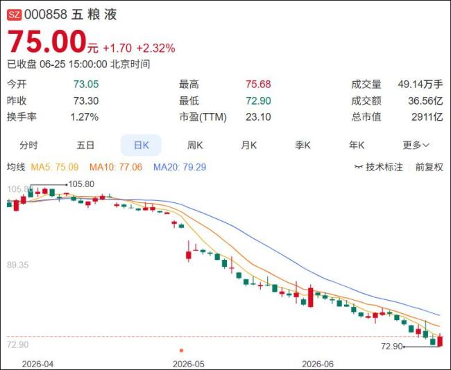 老股民：“牛市”里股票亏损超43万 极致割裂行情下的亏损困境
