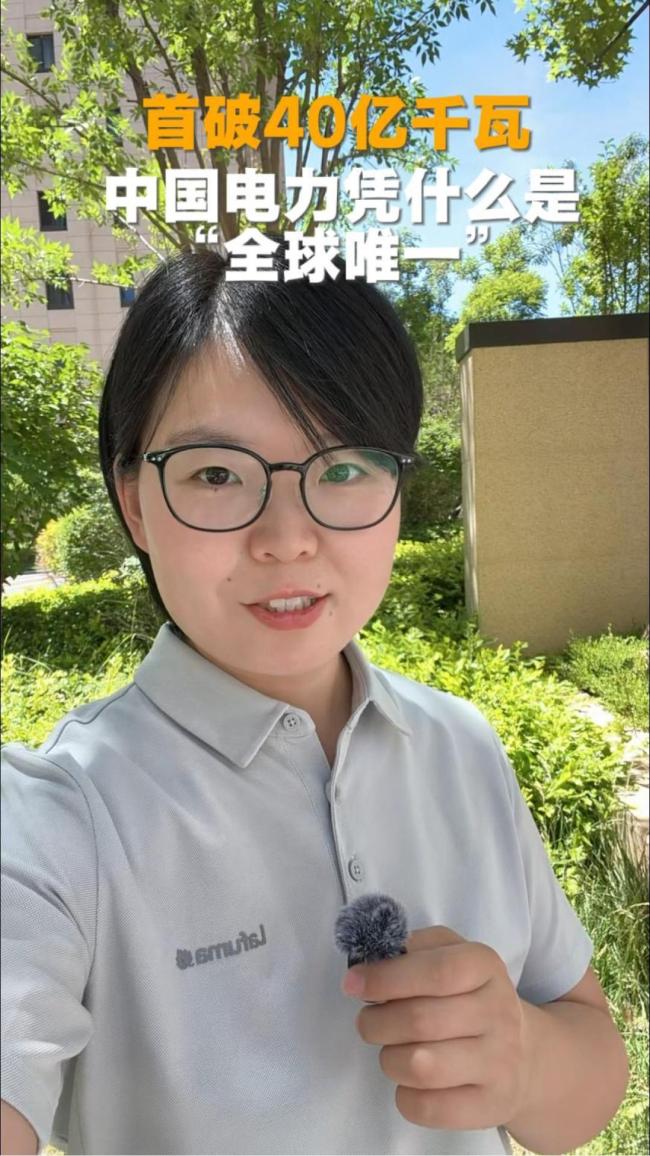 中国电力凭什么是