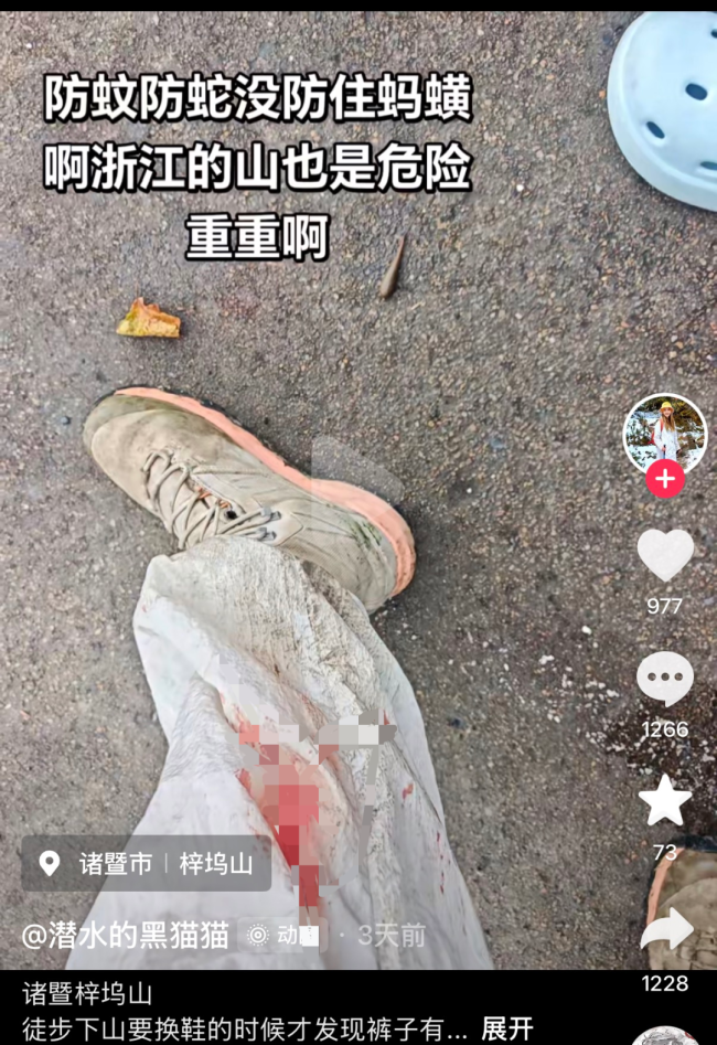 “当时毫无察觉，血流了7个多小时！”上海一女子在浙江爬山时被咬，没有痛感