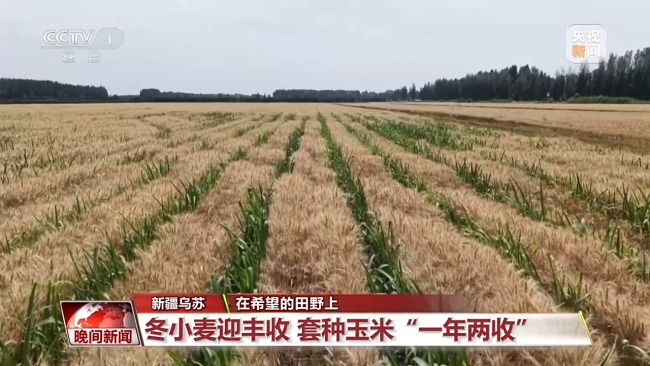 夏收夏种正当时 田间地头一派繁忙景象