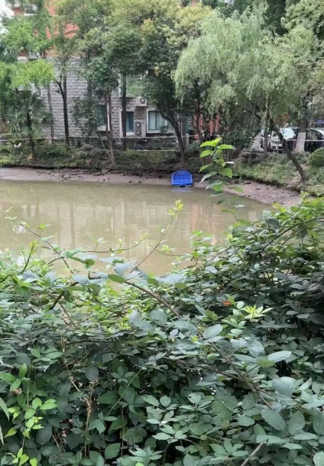 小区水池现鳄鱼多部门联合围捕 多方合力成功捕获