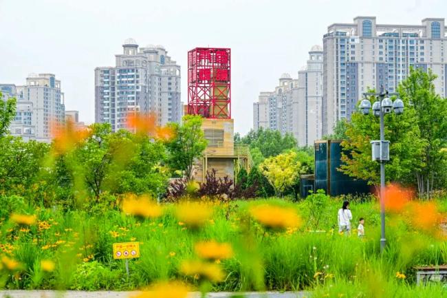 北京城市副中心治水空间变身花海 探索生态与美的融合
