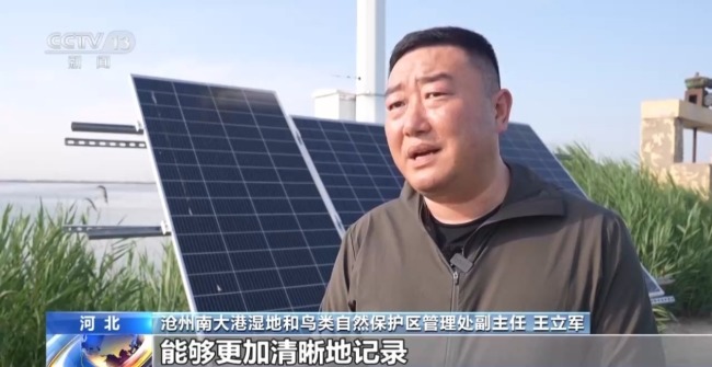 濒危种群稳中有升 我国鸟类保护成效显著