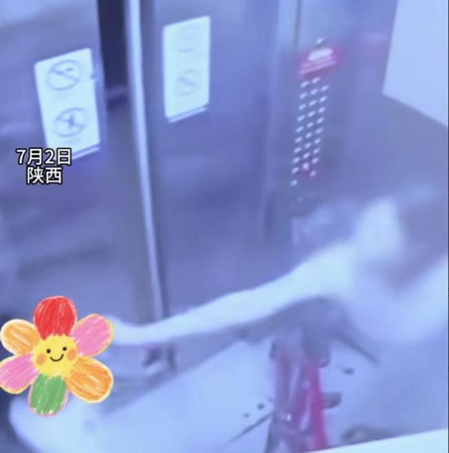 女孩摸自行车把手遭掌掴 家属发声 正常人干不出这事