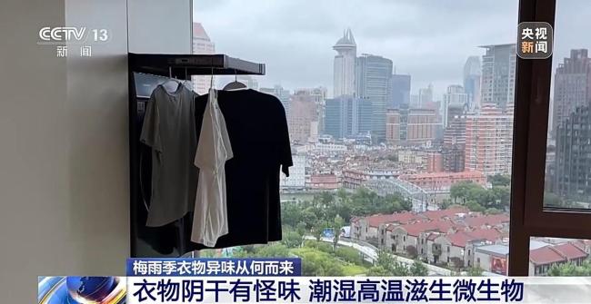 梅雨季阴干衣物霉味刺鼻该如何解决 科学洗护除异味