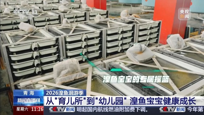 科技监测 双线守护青海湖湟鱼洄游