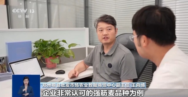 夏粮收购进入高峰期 市场有哪些新变化？