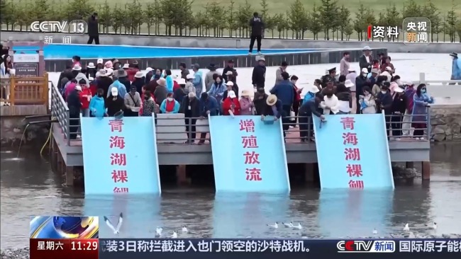 科技监测 双线守护青海湖湟鱼洄游