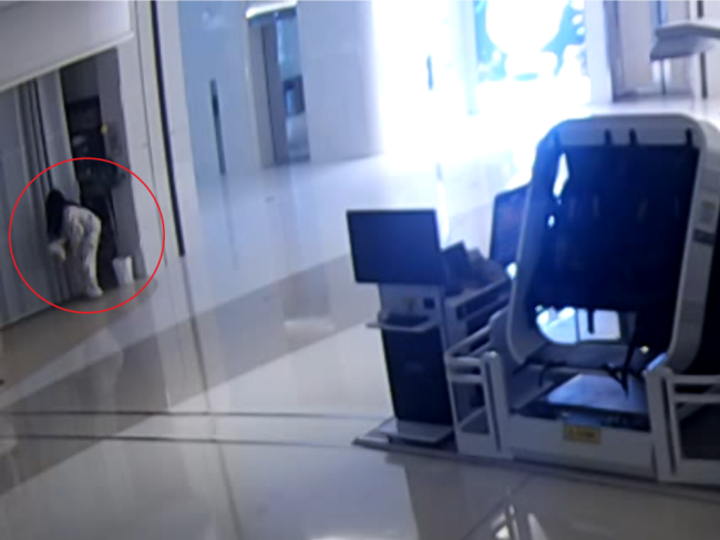 男子乔装偷价值12万宠物犬 长发“女子”竟是男扮女装