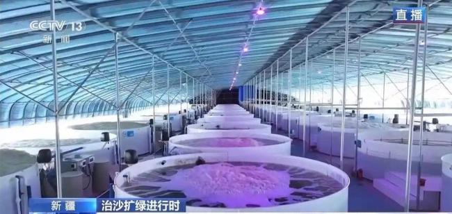塔克拉玛干沙漠有多干 地下水变海鲜奇迹