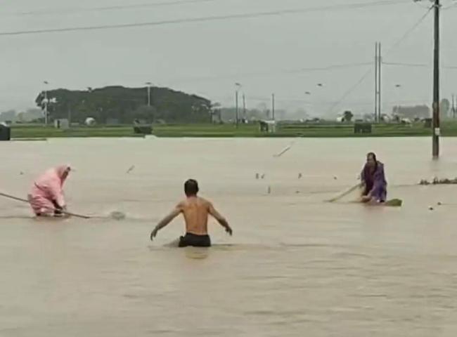 养殖场出逃蛇类约800至900条 洪水冲垮养蛇场引发险情