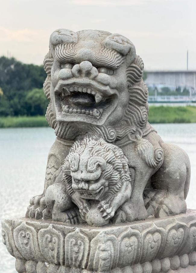 卢沟桥的石狮警醒后人勿忘血泪 铭记屈辱与抗争