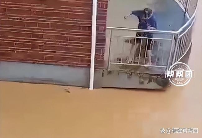 洪水后蛇出逃 医院：血清带不进去 养殖户损失惨重