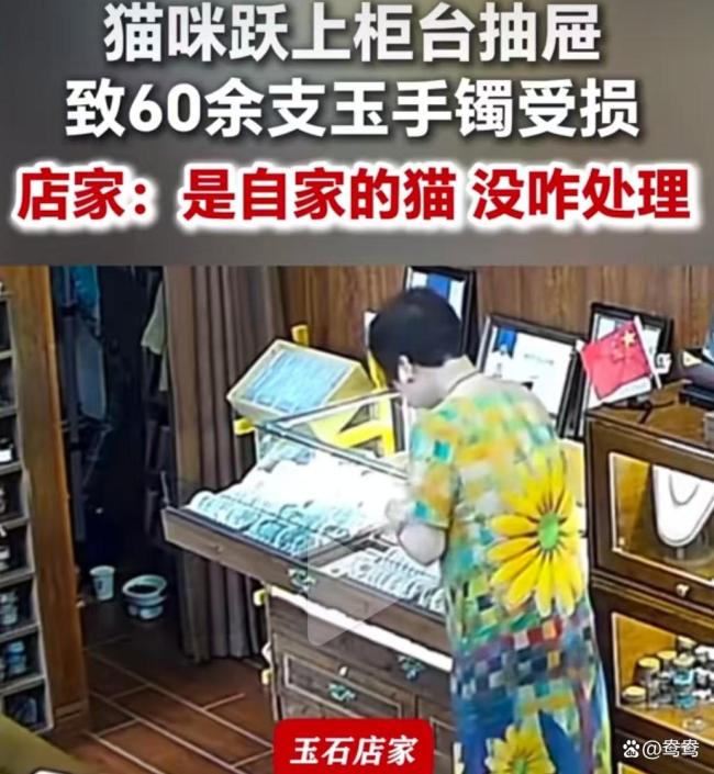 猫咪跃上柜台抽屉致60余支玉镯受损