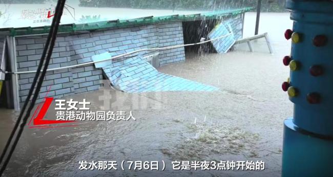 员工冒险锁死猛兽区：不能放出 会吃人 洪水来袭动物园自救