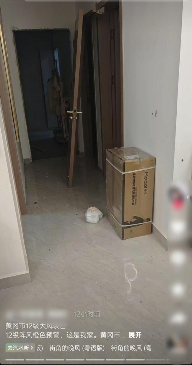 湖北鄂州一家三口被大风卷走坠亡 强对流天气引发悲剧