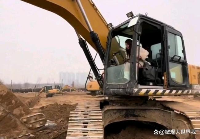 上半年中国挖掘机为何卖爆了 行业结构变化加速