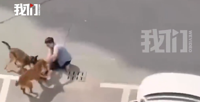 上海一儿童遭狗撕咬家长拉扯营救 居委会：警方介入调查