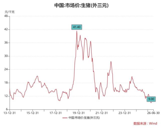 猪价快速反弹：时隔三个月重新站上每公斤10元，下半年走势如何？