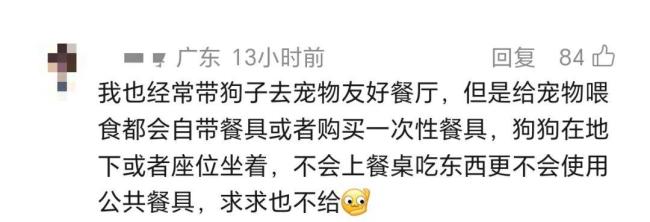 “gaga”深圳一门店被曝狗上桌进食 宠物友好界限引争议