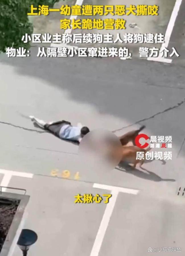 上海一幼童在小区内被狗撕咬