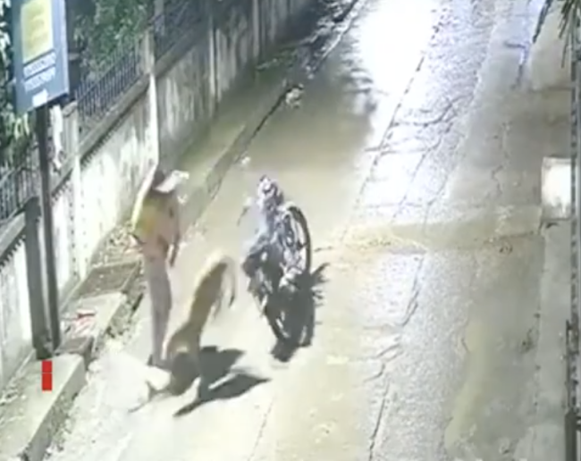 印度一外卖骑手夜间遭豹子袭击