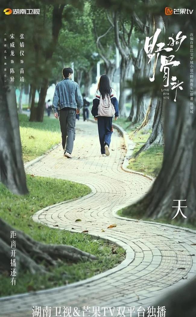 刘俊杰让宋威龙张婧仪吻10分钟 现偶暑期档第一把火