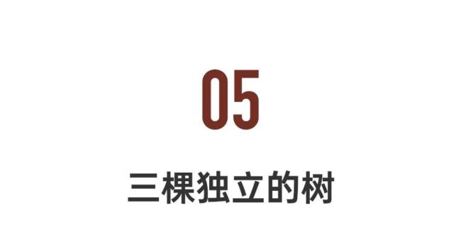 90后儿子和60后妈妈一起创作 母子共绘生活新篇章