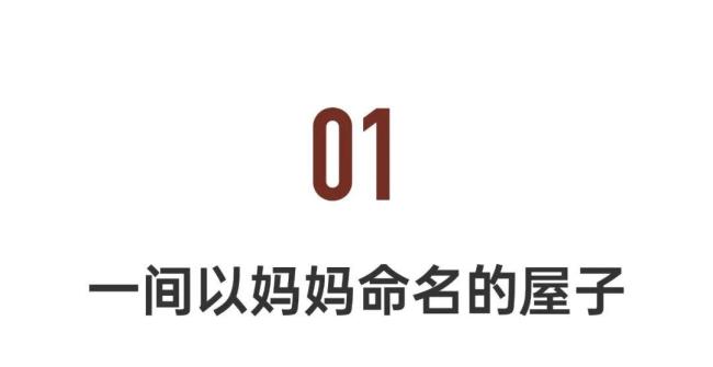 90后儿子和60后妈妈一起创作 母子共绘生活新篇章
