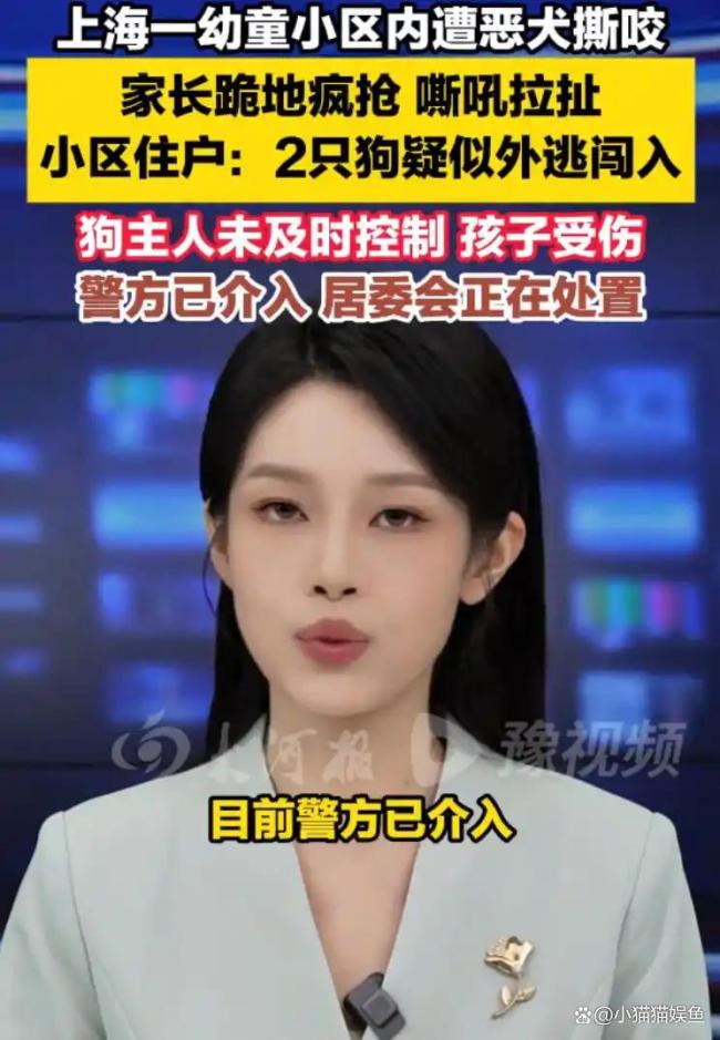 上海一幼童在小区内被狗撕咬 管理漏洞引发热议