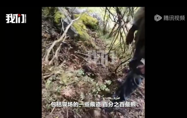 警方介入男子进山疑遭熊袭击身亡 8次求救未果悲剧发生