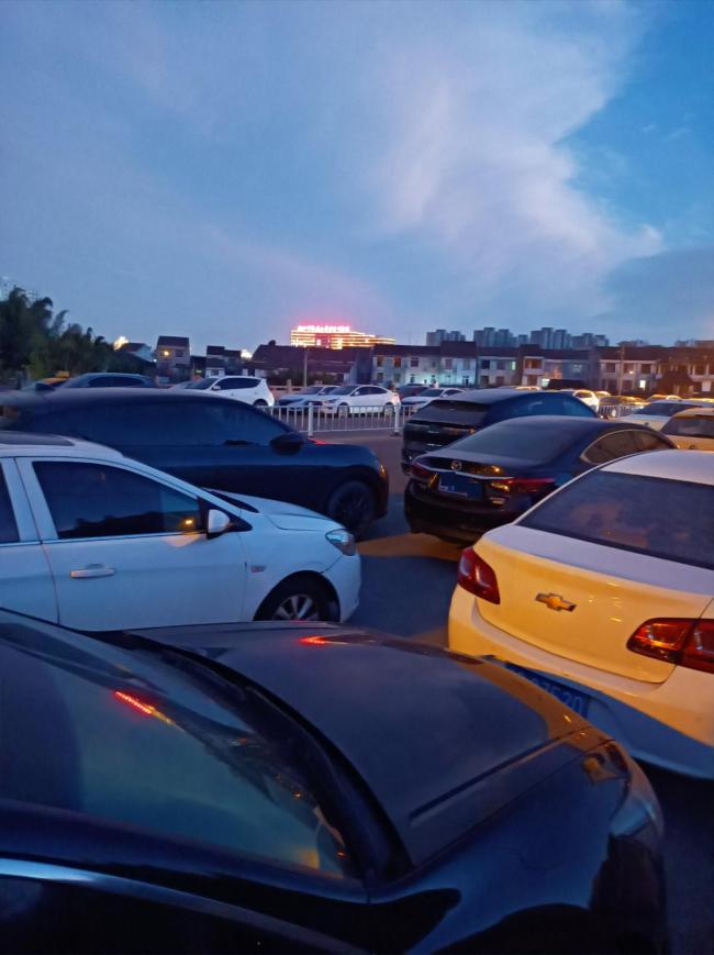 温州多位车主将车停在桥上防暴雨淹车