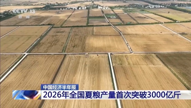 全国夏粮获丰收