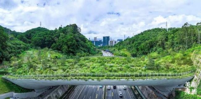 深圳明确擅闯三山险区自担救援费 文明登山安全游园