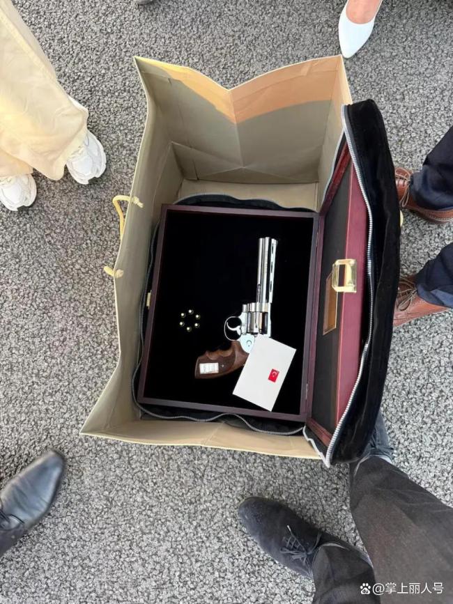 斯洛伐克总统展示埃尔多安赠送的手枪 外交礼物引发争议
