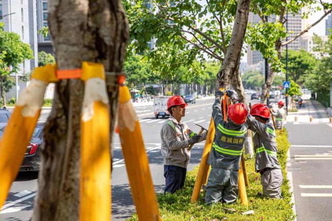 台风巴威来袭 温州街头用喇叭提醒 全市积极备战防汛防台