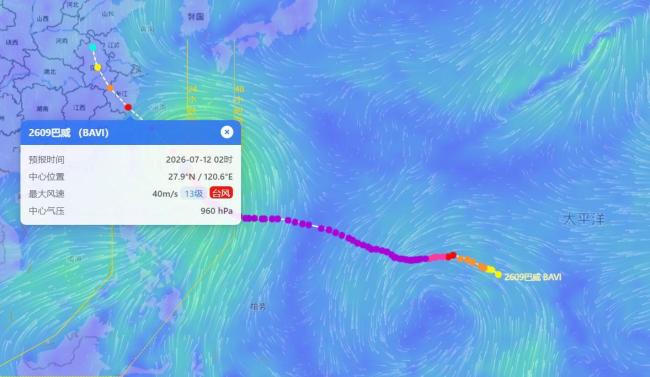台风“巴威”给冲绳地区造成严重影响