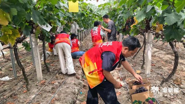 浙江衢州多地严阵以待防御台风巴威 全力以赴守护安全