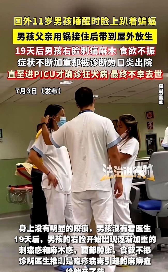 10岁男孩见蝙蝠以为去世妈妈回来了