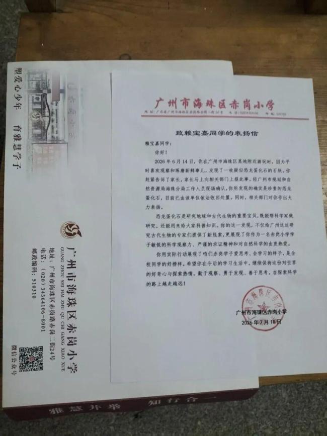 9岁小学生在广州发现恐龙蛋获表扬