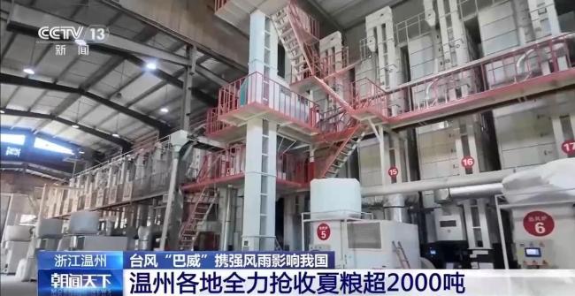 浙江温州风雨将至 各地抢收作物 争分夺秒与台风“抢粮”