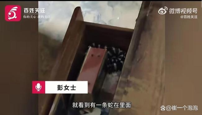 洪水后村民在抽屉发现银环蛇 毒蛇隐患需警惕