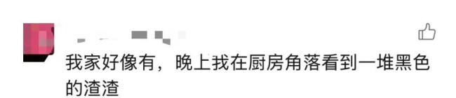 家中长出"黑色小刷子"千万别碰 可能是健康威胁